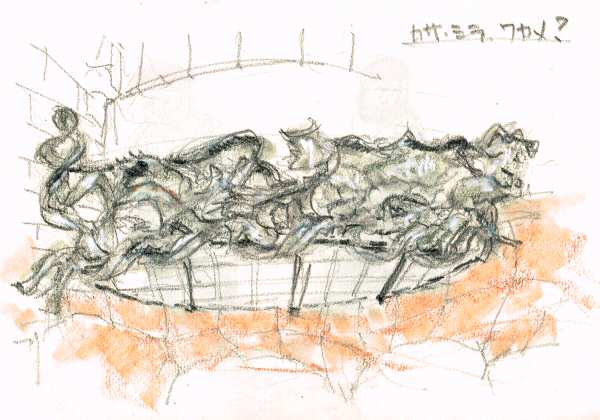 sketch