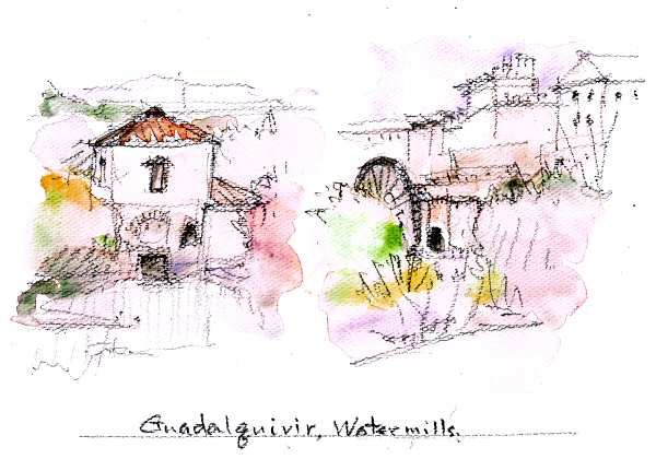 sketch