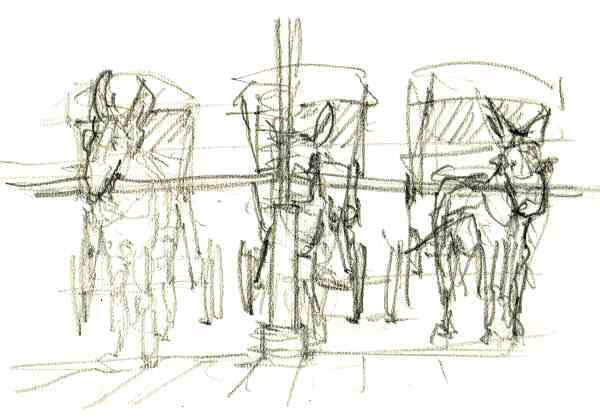 sketch