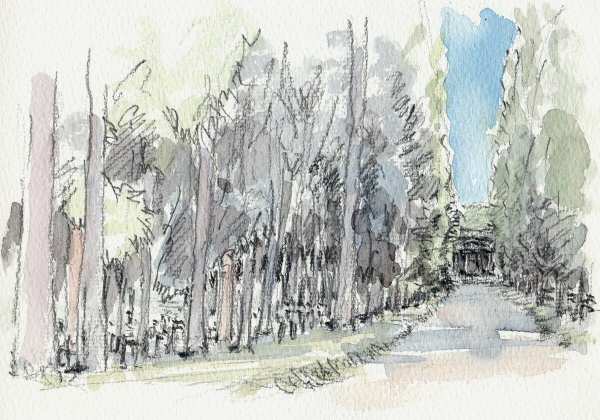 sketch