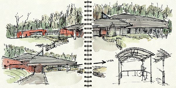sketch