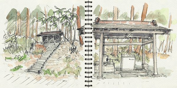 sketch