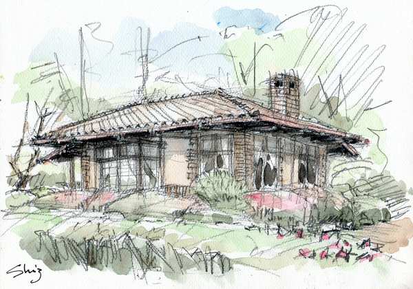 sketch