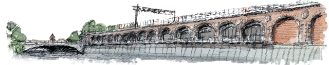 top-logo