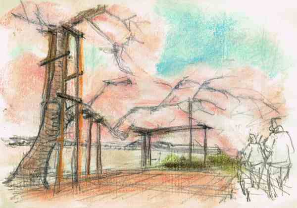 sketch