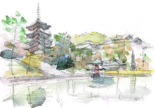 sketch