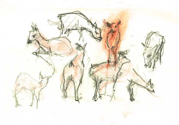 sketch