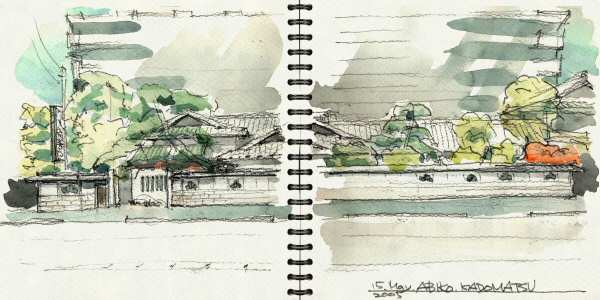 sketch