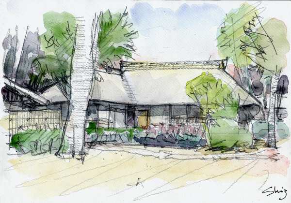 sketch