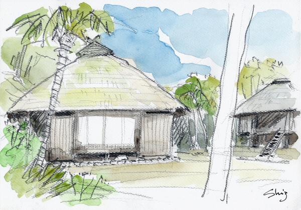 sketch