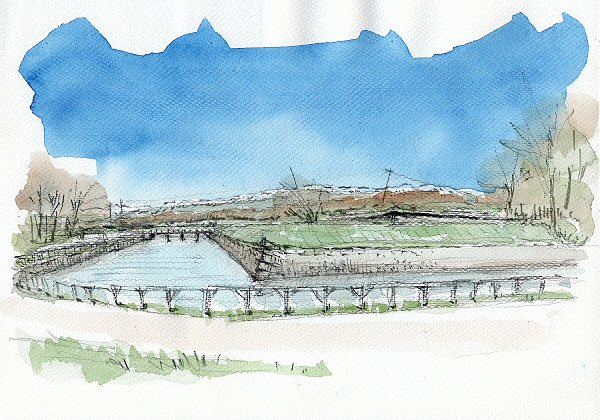 sketch