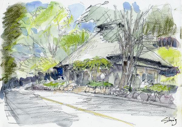 sketch