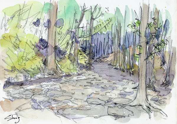 sketch