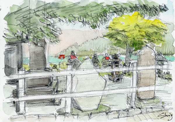 sketch