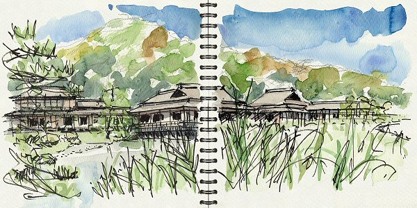 sketch