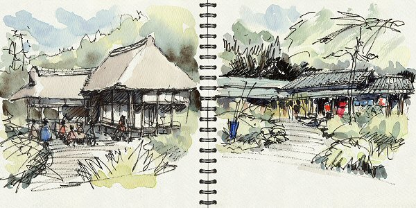 sketch