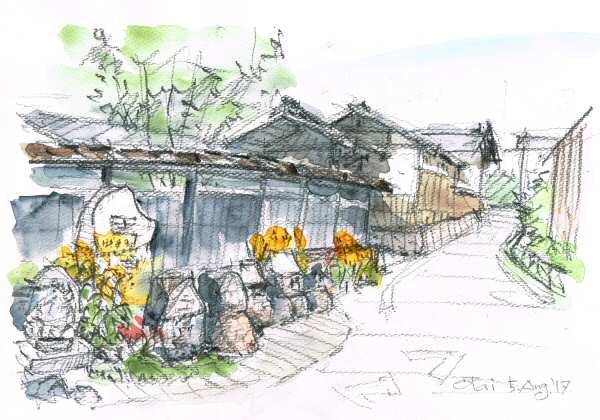 sketch