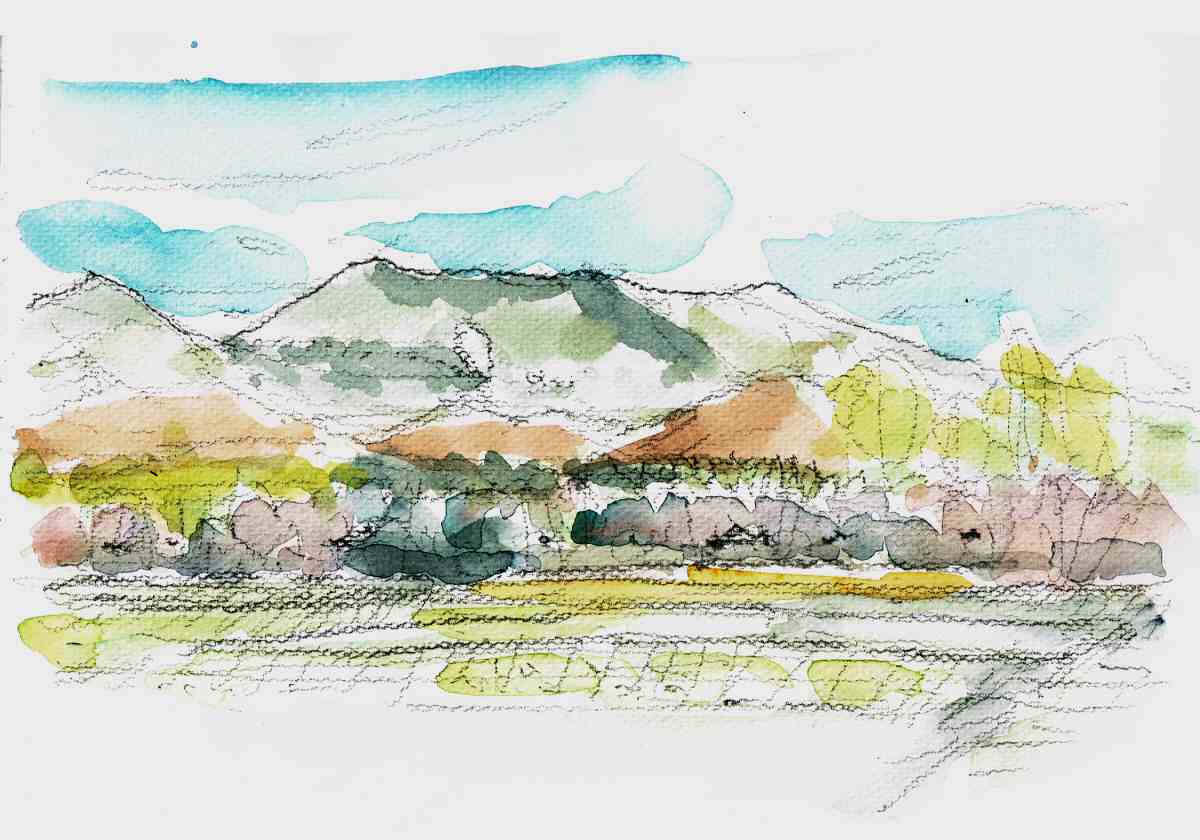 sketch