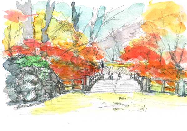 sketch