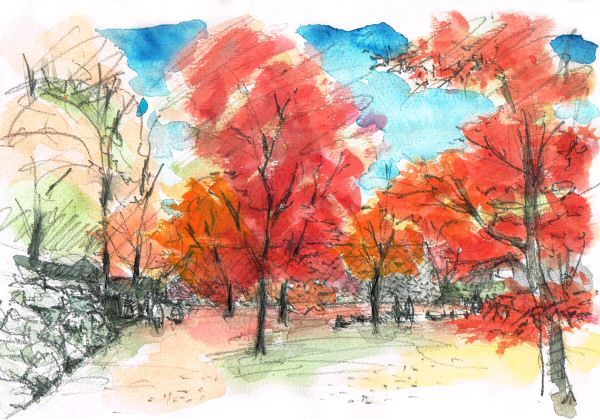 sketch