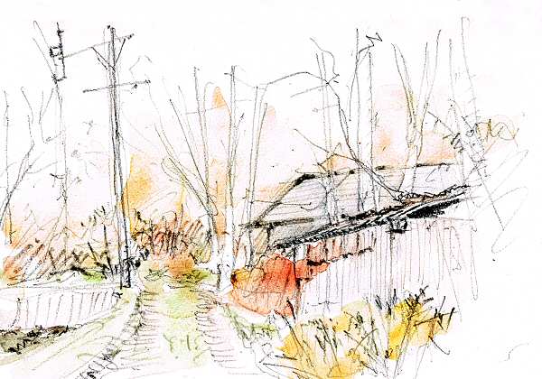sketch