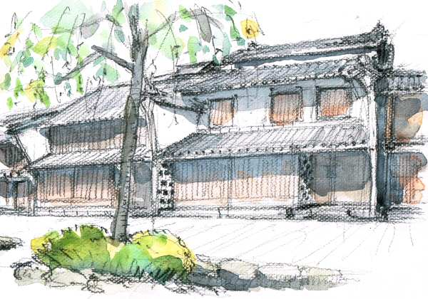 sketch