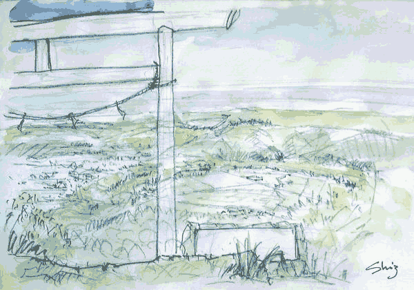 sketch