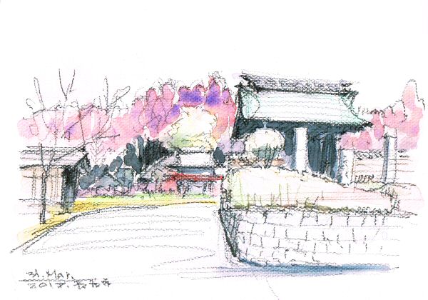 sketch