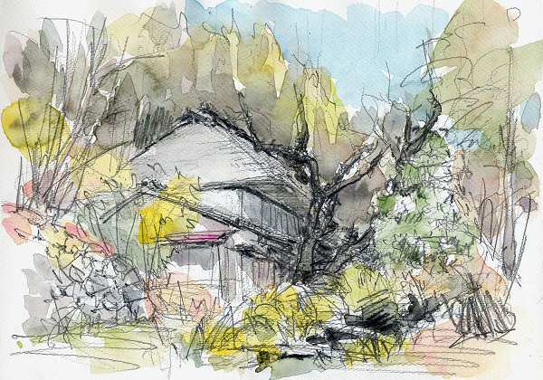sketch