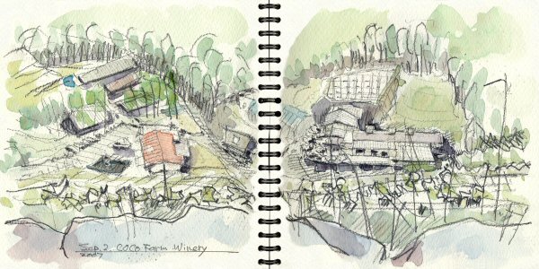 sketch