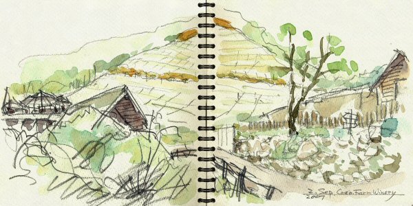 sketch