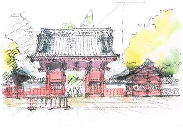 sketch