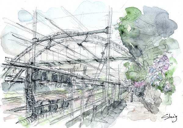 sketch