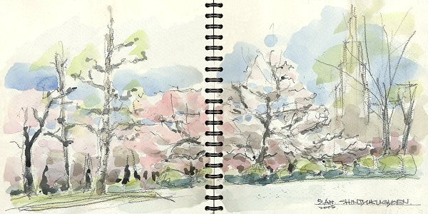 sketch