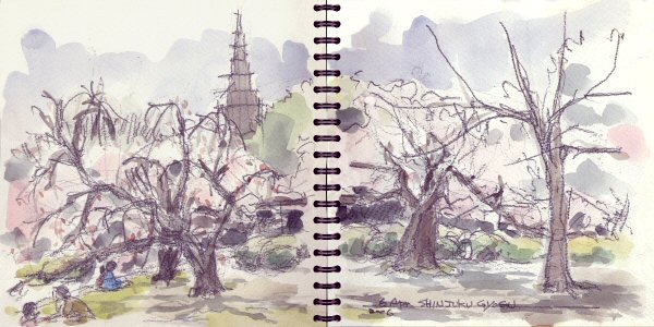 sketch