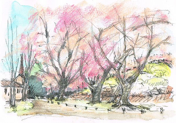 sketch