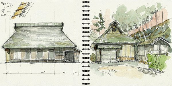sketch