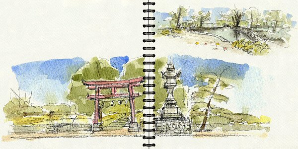 sketch