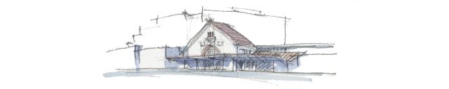 top-logo
