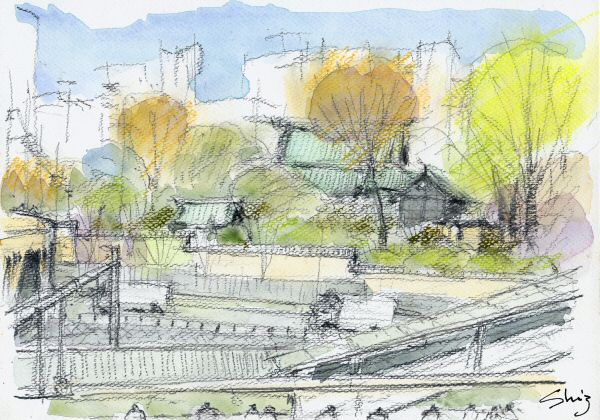 sketch